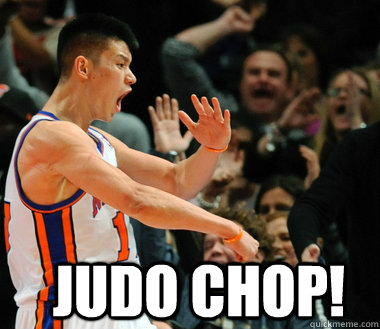  Judo Chop!  JEREMY LIN DASSIT