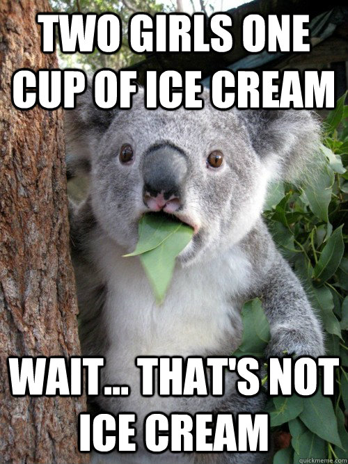 Two girls one cup of ice cream wait... that's not ice cream - Two girls one cup of ice cream wait... that's not ice cream  koala bear