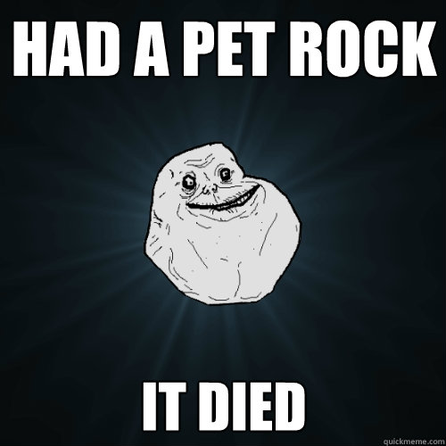 had a pet rock it died  - had a pet rock it died   Forever Alone