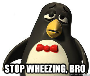  Stop Wheezing, Bro -  Stop Wheezing, Bro  Wheezy