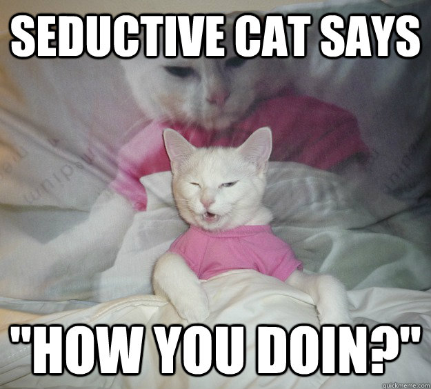 Seductive Cat Says 