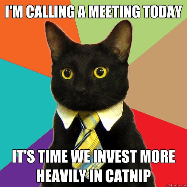 I'M CALLING A MEETING TODAY IT'S TIME WE INVEST MORE HEAVILY IN CATNIP  