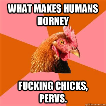 What makes humans horney Fucking Chicks, pervs.  Anti-Joke Chicken