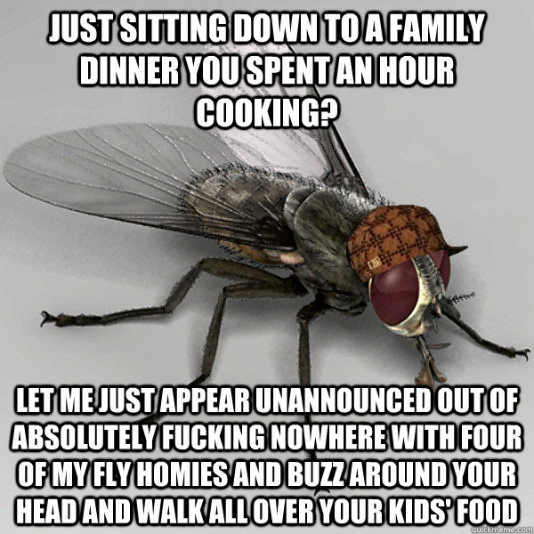 Just sitting down to a family dinner you spent an hour cooking? Let me just appear unannounced out of absolutely fucking nowhere with four of my fly homies and buzz around your head and walk all over your kids' food - Just sitting down to a family dinner you spent an hour cooking? Let me just appear unannounced out of absolutely fucking nowhere with four of my fly homies and buzz around your head and walk all over your kids' food  Scumbag Fly