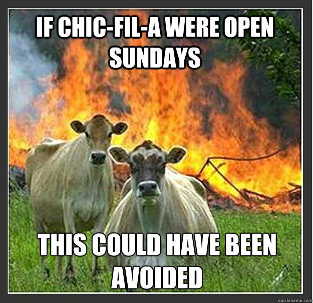 If chic-fil-a were open sundays this could have been avoided  Evil cows