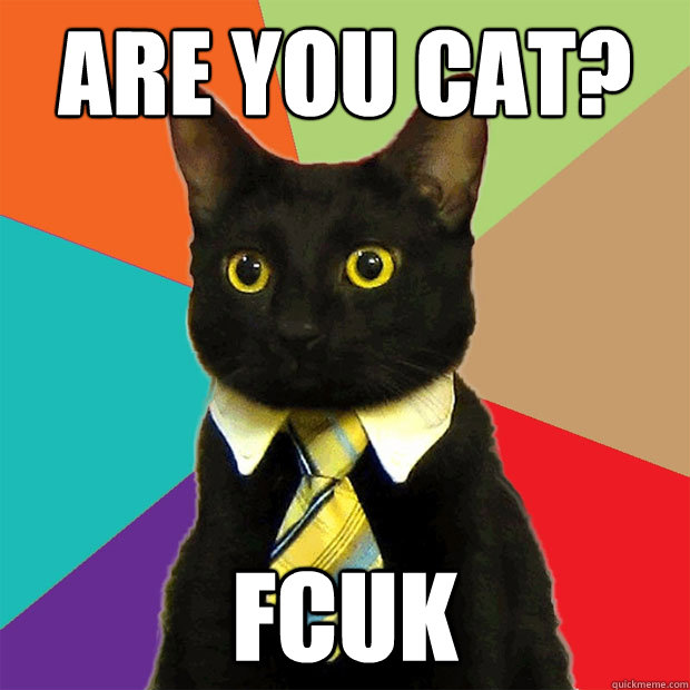 ARE YOU CAT? FCUK  Business Cat