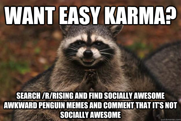 Want easy Karma? Search /r/rising and find socially awesome awkward penguin memes and comment that it's not socially awesome - Want easy Karma? Search /r/rising and find socially awesome awkward penguin memes and comment that it's not socially awesome  Evil Plotting Raccoon