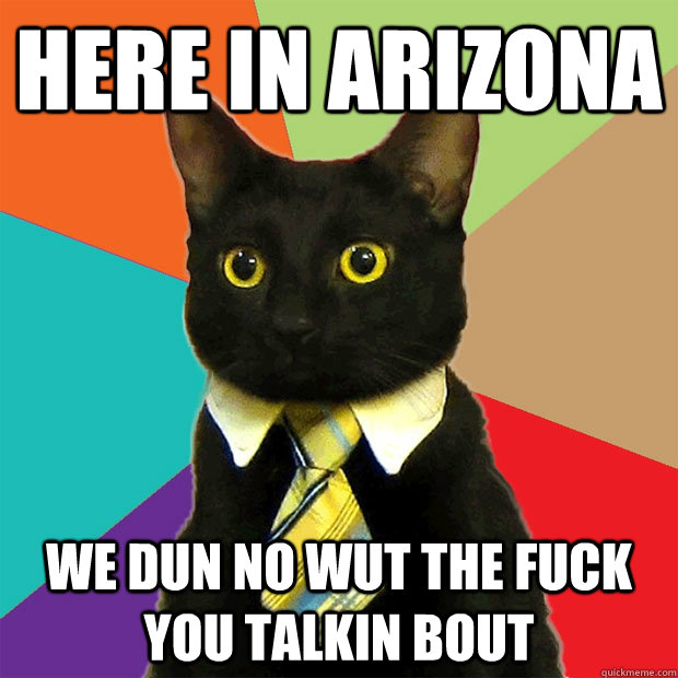 Here in Arizona WE DUN NO WUT THE FUCK YOU TALKIN BOUT  Business Cat