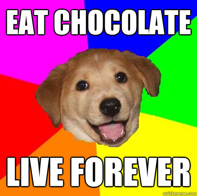 Eat chocolate live forever  Advice Dog