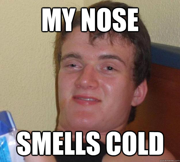 My nose smells cold  10 Guy