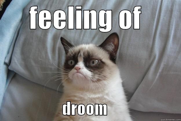 feelings of froom - FEELING OF                        DROOM                         Grumpy Cat