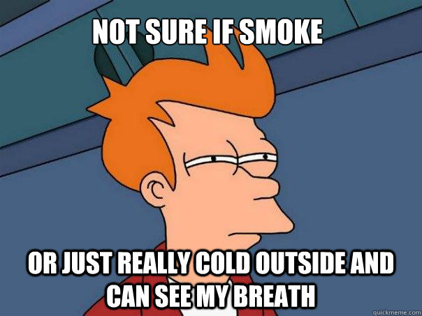 Not sure if smoke Or just really cold outside and can see my breath  Futurama Fry