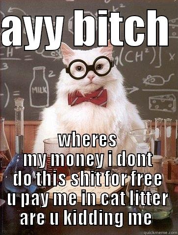 AYY BITCH  WHERES MY MONEY I DONT DO THIS SHIT FOR FREE U PAY ME IN CAT LITTER ARE U KIDDING ME  Chemistry Cat