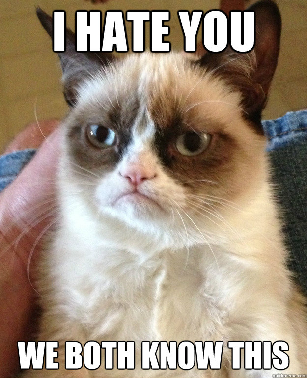 I hate you  We both know this  Grumpy Cat