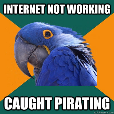 Internet not working caught pirating  Paranoid Parrot