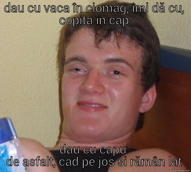 prostia doare - DAU CU VACA ÎN CIOMAG, ÎMI DĂ CU, COPITA ÎN CAP DAU CU CAPU' DE ASFALT, CAD PE JOS SI RĂMÂN LAT 10 Guy