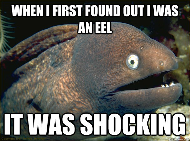 when i first found out i was an eel it was shocking  - when i first found out i was an eel it was shocking   Bad Joke Eel