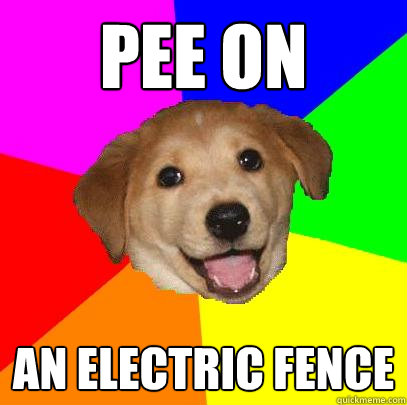 Pee on an electric fence   Advice Dog