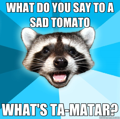 WHAT DO YOU SAY TO A SAD TOMATO WHAT'S TA-MATAR?  Lame Pun Coon