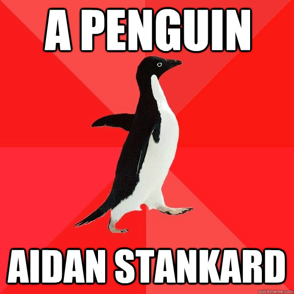 A penguin  Aidan Stankard - A penguin  Aidan Stankard  Socially Awesome Penguin