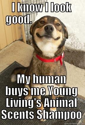 I KNOW I LOOK GOOD.                       MY HUMAN BUYS ME YOUNG LIVING'S ANIMAL SCENTS SHAMPOO Good Dog Greg