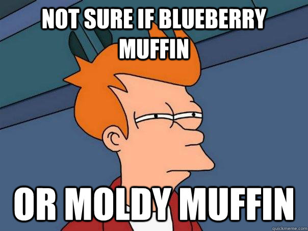 Not sure if blueberry muffin Or moldy muffin - Not sure if blueberry muffin Or moldy muffin  Futurama Fry