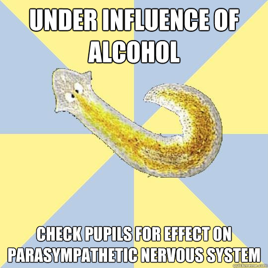 Under influence of alcohol check pupils for effect on parasympathetic nervous system  Bio Major Planarian