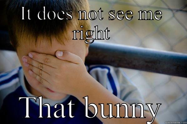 IT DOES NOT SEE ME RIGHT THAT BUNNY Confession kid