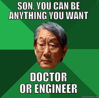 SON, YOU CAN BE ANYTHING YOU WANT DOCTOR OR ENGINEER High Expectations Asian Father