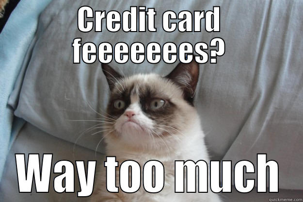 Credit Card Fee - CREDIT CARD FEEEEEEES? WAY TOO MUCH Grumpy Cat