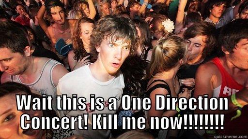 A sad way to end the night -  WAIT THIS IS A ONE DIRECTION CONCERT! KILL ME NOW!!!!!!!! Sudden Clarity Clarence