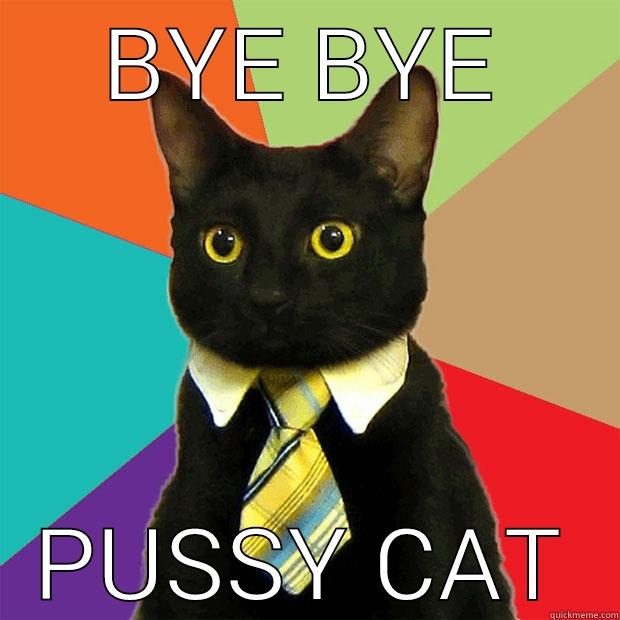 BYE BYE PUSSY CAT Business Cat