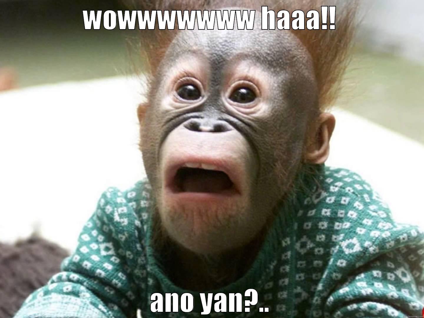 shock monkey - WOWWWWWWW HAAA!! ANO YAN?.. Misc