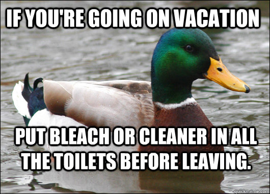 If you're going on vacation Put bleach or cleaner in all the toilets before leaving. - If you're going on vacation Put bleach or cleaner in all the toilets before leaving.  Actual Advice Mallard