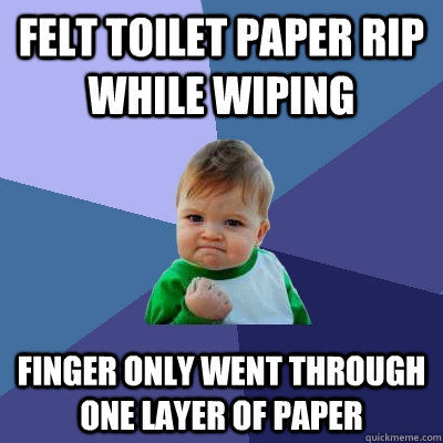 felt toilet paper rip while wiping finger only went through     one layer of paper - felt toilet paper rip while wiping finger only went through     one layer of paper  Success Kid