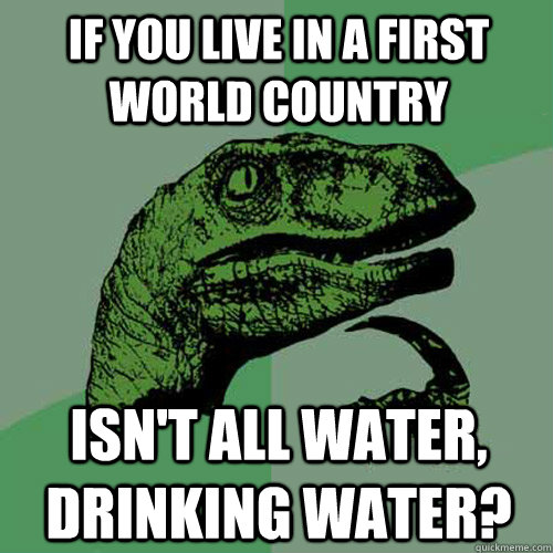 If you live in a first world country isn't all water, drinking water?  Philosoraptor