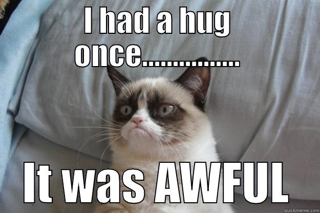 No hugs ever - I HAD A HUG ONCE................ IT WAS AWFUL Grumpy Cat