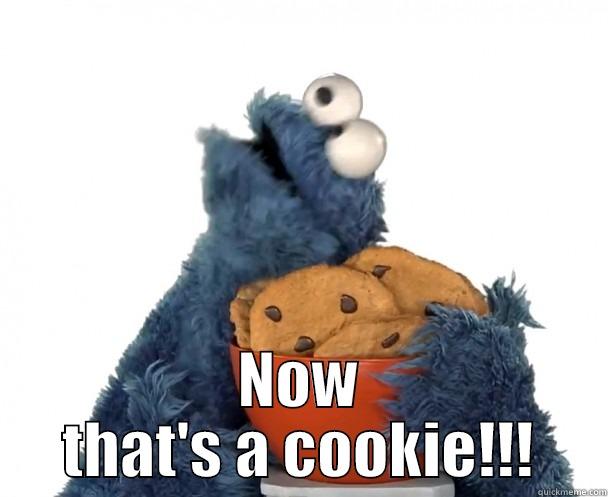 cookie monster  -  NOW THAT'S A COOKIE!!! Misc