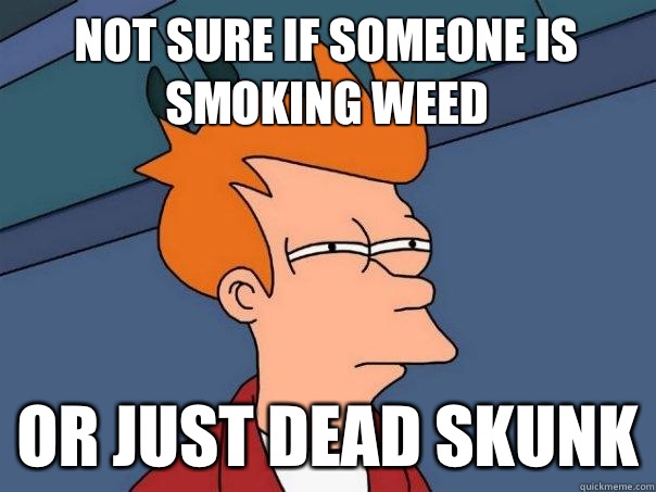 not sure if someone is smoking weed or just dead skunk  Futurama Fry