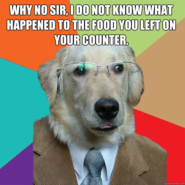 Why no sir, I do not know what happened to the food you left on your counter.   Business Dog