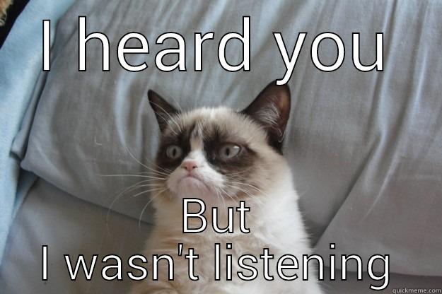 I HEARD YOU BUT I WASN'T LISTENING Grumpy Cat