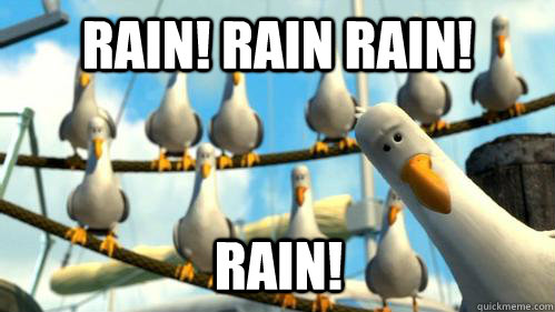 RAIN! RAIN RAIN! RAIN!  Finding Nemo Seagulls