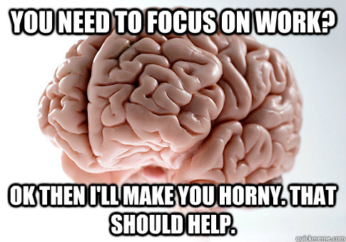 you need to focus on work? ok then i'll make you horny. that should help.  Scumbag Brain