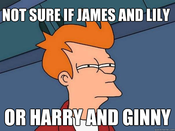 Not sure if James and Lily Or Harry and Ginny - Not sure if James and Lily Or Harry and Ginny  Futurama Fry