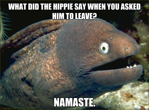 What did the hippie say when you asked him to leave? Namaste.  Bad Joke Eel