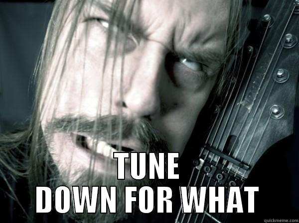 Tune down for what -  TUNE DOWN FOR WHAT Misc