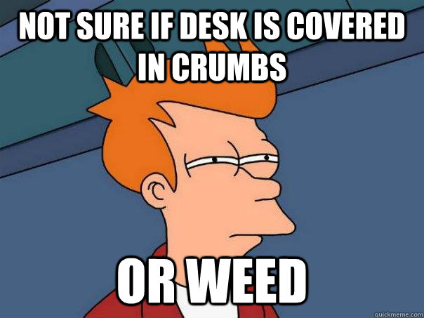 Not sure if desk is covered in crumbs or weed  Futurama Fry