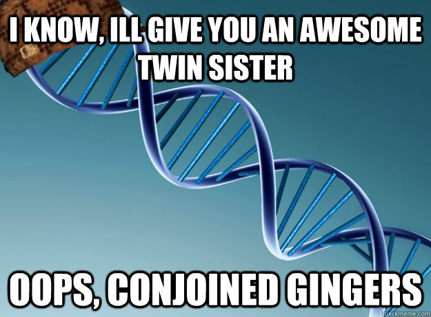 I know, ill give you an awesome twin sister oops, conjoined gingers  Scumbag Genetics