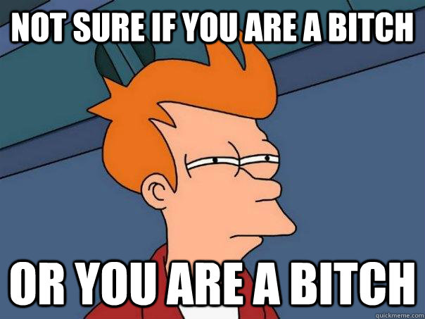 Not sure if you are a bitch Or you are a bitch  Futurama Fry