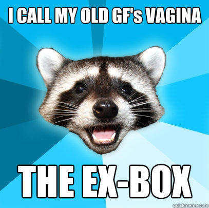 I CALL MY OLD GF's VAGINA
 THE EX-BOX  Lame Pun Coon